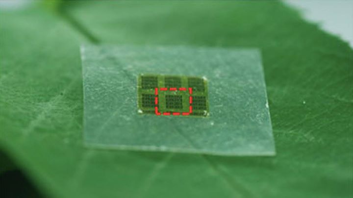 Biodegradable, wood-based computer chips can perform just as well as chips commonly used for wireless communication, according to new research.
The inventors argues that the new chips could help address the global problem of rapidly accumulating electronic waste, some of which contains potentially toxic materials. The results also show that a transparent, wood-derived material called nano-cellulose paper is an attractive alternative to plastic as a surface for flexible electronics.
#Environmentfriendly #Innovation #NextGenTechnology
